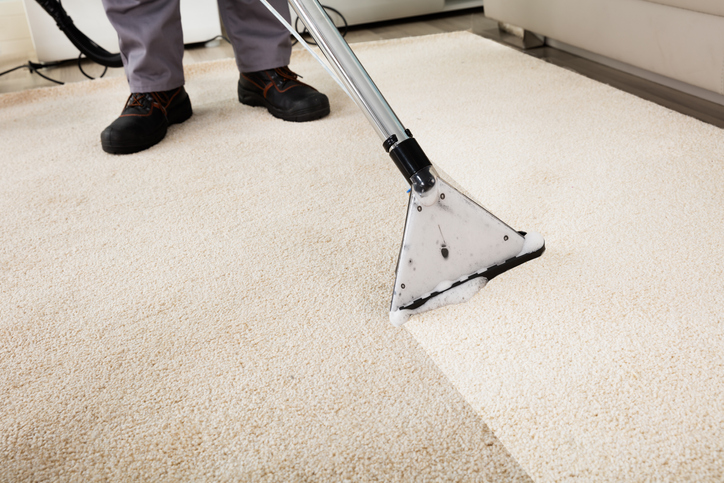 cleaning carpet