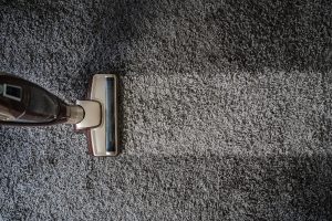 vacuum carpet