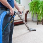 how to keep your carpet clean