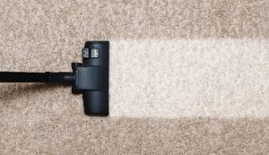 professional carpet cleaning