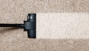 professional carpet cleaning job in Michigan