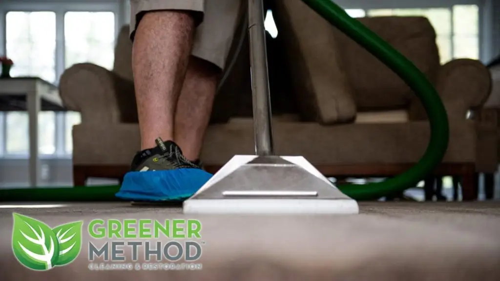 Greener Method eco carpet cleaning in Canton, MI