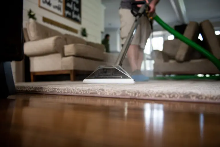 book carpet cleaning online in Michigan