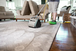Residential Cleaning Area Rug